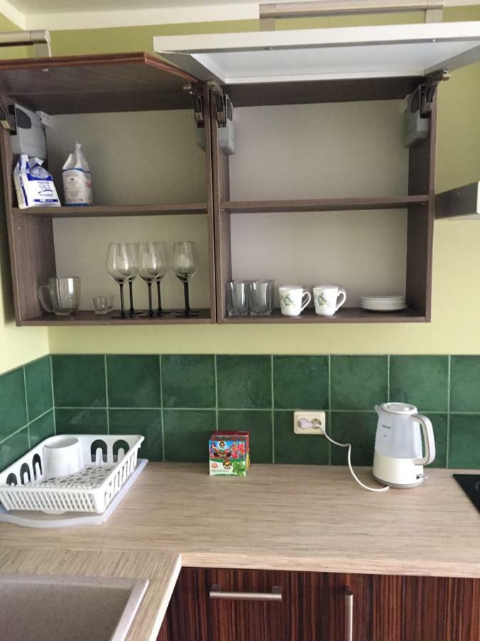 Family House Apartments Salacgrīva エクステリア 写真